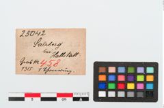 Etiketten zu Tonringperle (NHMW-PRAE-025042)